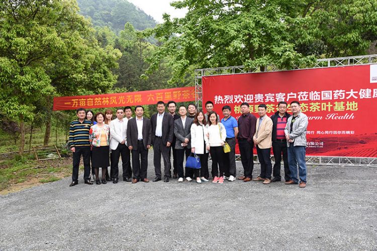 國(guó)藥集團(tuán)安徽公司總經(jīng)理張平一行考察六百里茶業(yè).jpg