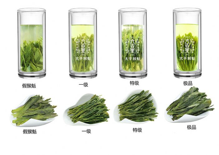 太平猴魁是最大、最好、最珍貴的茶.jpg